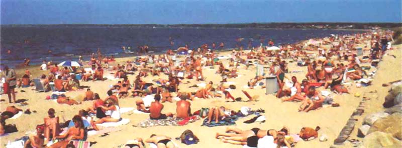 Strand_lang.JPG (48898 bytes)